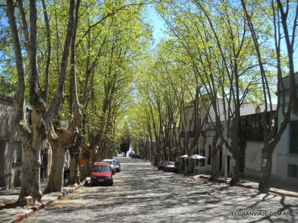 COLONIA DE SACRAMENTO - Imagem 5