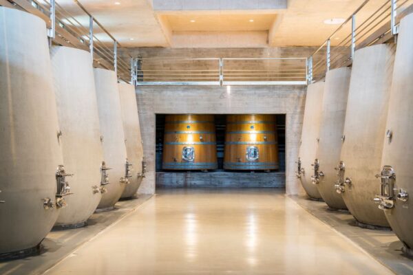 Bodega Fripp - Wine Tour Experience Almoço + Traslado - Imagem 2