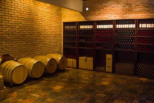 Bodega Fripp - Wine Tour Experience Almoço + Traslado - Imagem 4