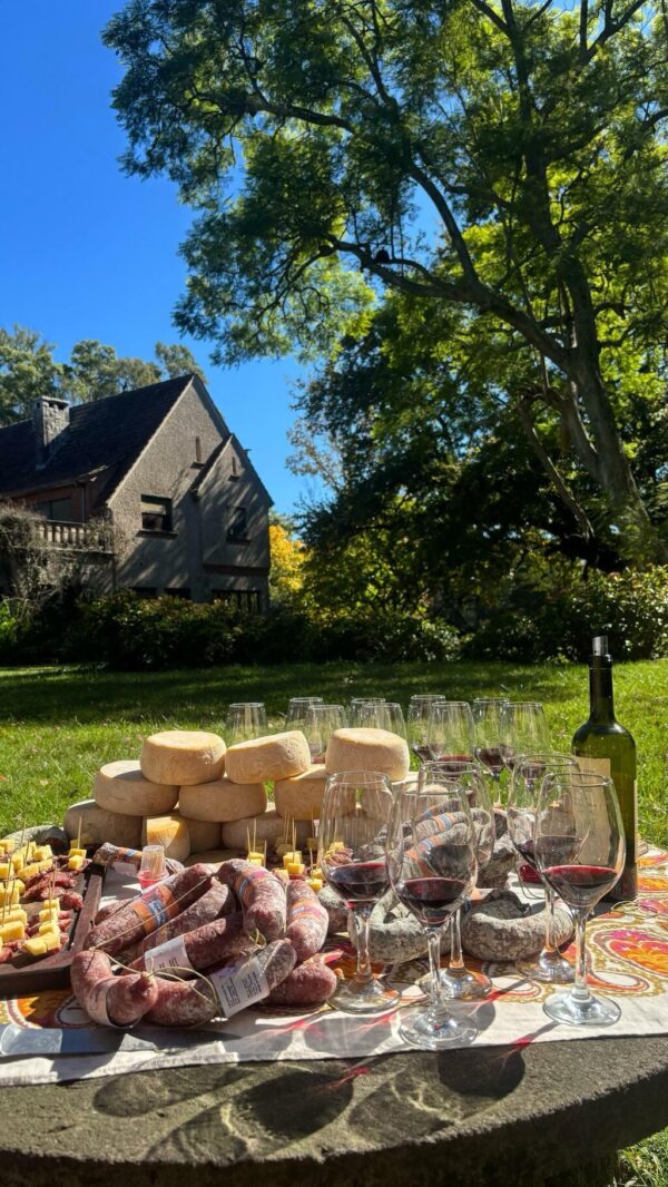 Bodega Fripp - Wine Tour Experience Almoço + Traslado - Imagem 3